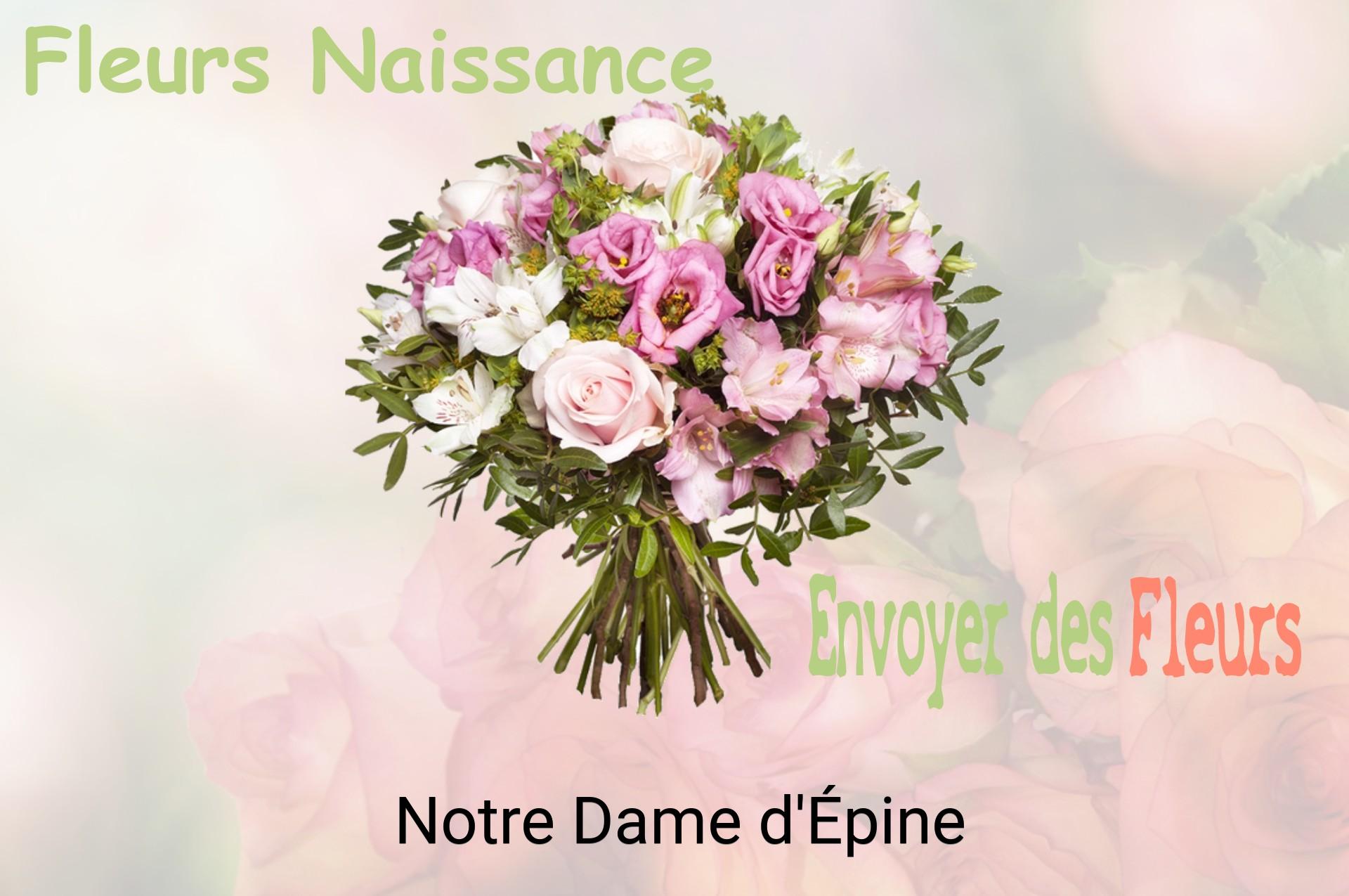 Bouquet de fleurs de naissance livré à Notre-Dame-d'Épine